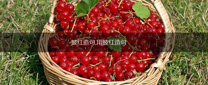 披红造句,用披红造句,第1张
