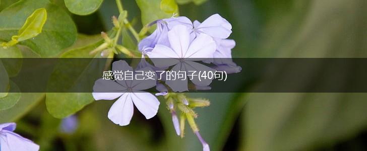 感觉自己变了的句子(40句),第1张