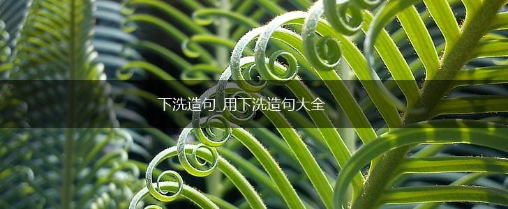 下洗造句_用下洗造句大全,第1张