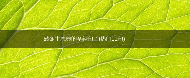 感谢主恩典的圣经句子(热门11句),第1张
