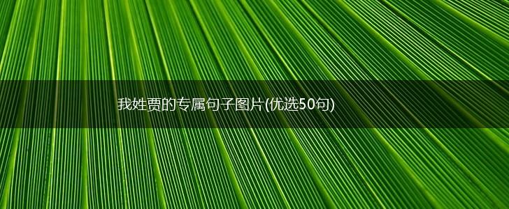 我姓贾的专属句子图片(优选50句),第1张