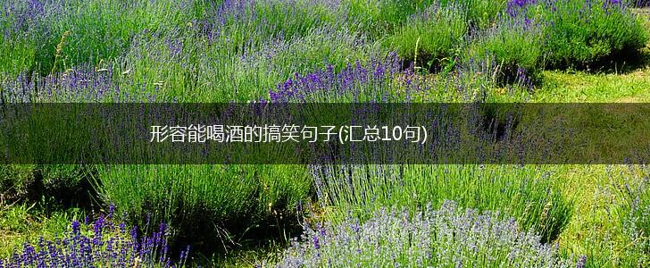 形容能喝酒的搞笑句子(汇总10句),第1张