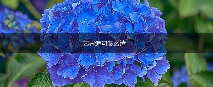 艺界造句怎么造,第1张