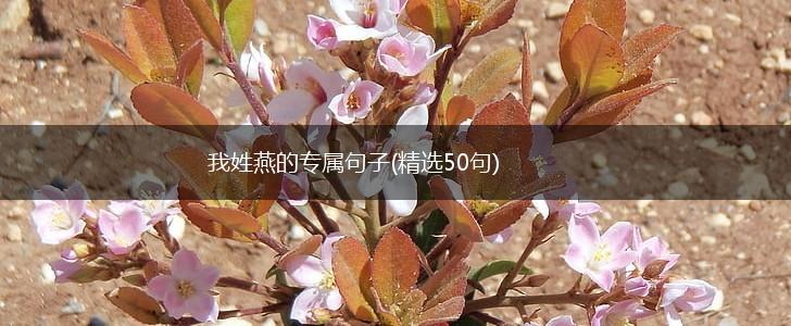 我姓燕的专属句子(精选50句),第1张