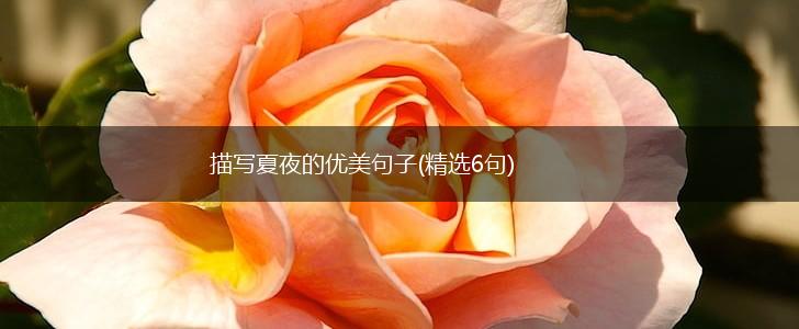 描写夏夜的优美句子(精选6句),第1张