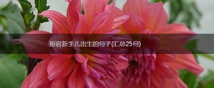形容新生儿出生的句子(汇总25句),第1张