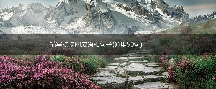 描写动物的成语和句子(通用50句),第1张
