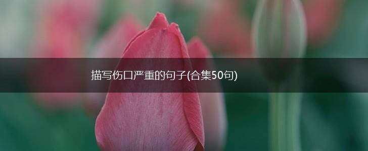 描写伤口严重的句子(合集50句),第1张