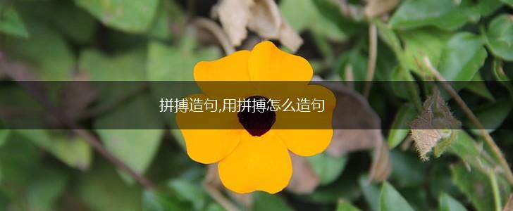 拼搏造句,用拼搏怎么造句,第1张