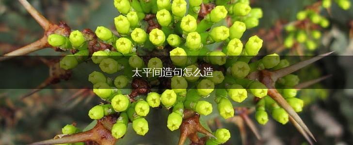 太平间造句怎么造,第1张