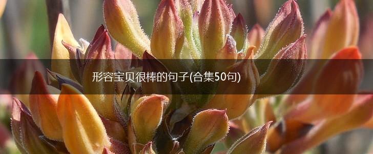 形容宝贝很棒的句子(合集50句),第1张