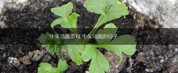 牛头马面造句 牛头马面的句子,第1张