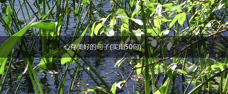 心存美好的句子(实用50句),第1张
