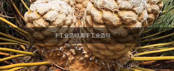手工业造句,用手工业造句,第1张