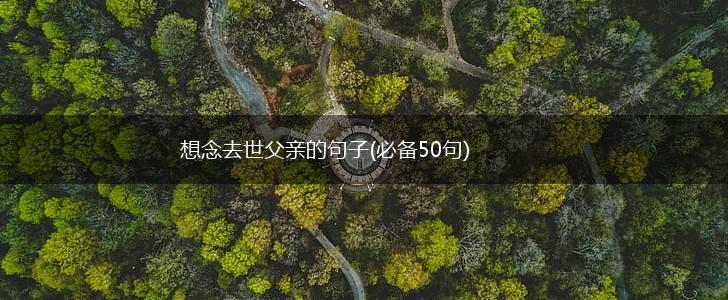 想念去世父亲的句子(必备50句),第1张