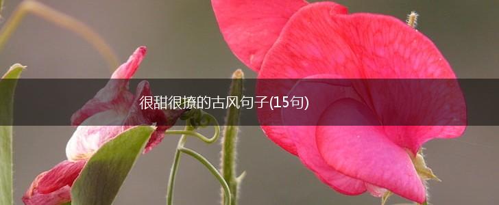 很甜很撩的古风句子(15句),第1张