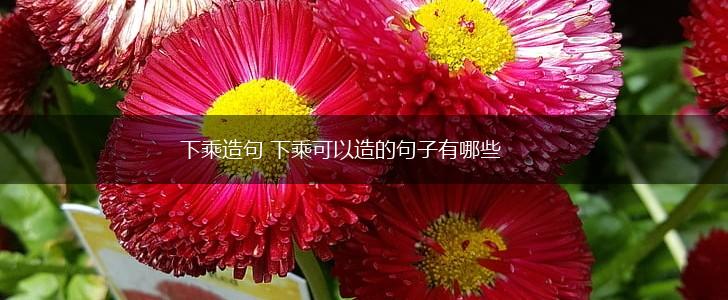下乘造句 下乘可以造的句子有哪些,第1张