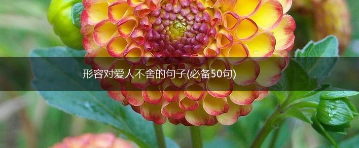 形容对爱人不舍的句子(必备50句),第1张