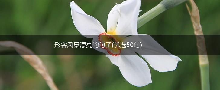 形容风景漂亮的句子(优选50句),第1张