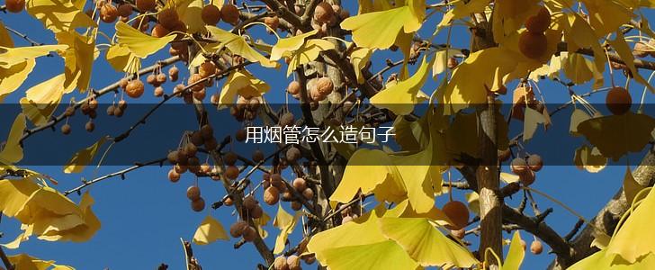 用烟管怎么造句子,第1张