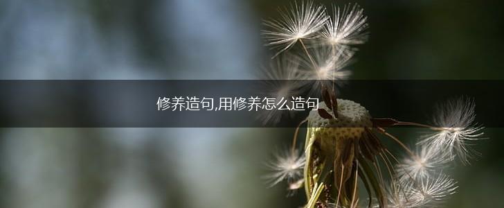 修养造句,用修养怎么造句,第1张