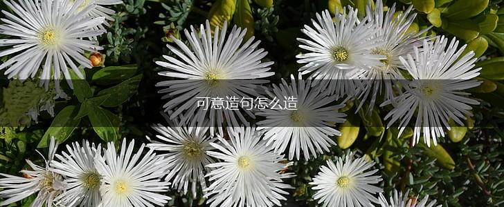 可意造句怎么造,第1张