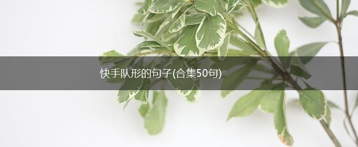 快手队形的句子(合集50句),第1张