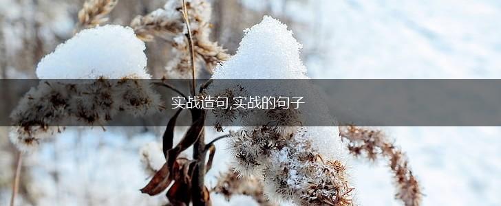 实战造句,实战的句子,第1张