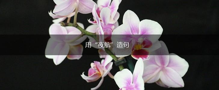 用“夜航”造句,第1张