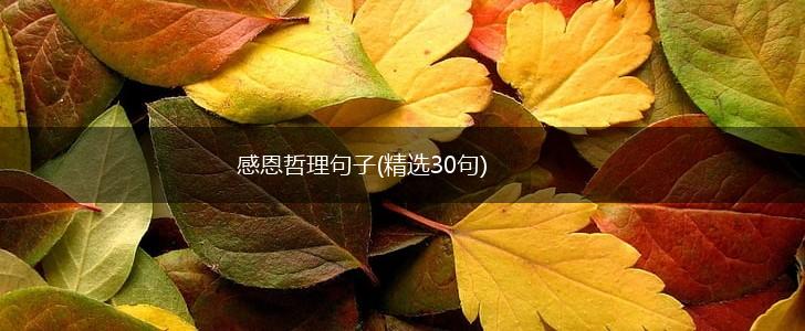 感恩哲理句子(精选30句),第1张