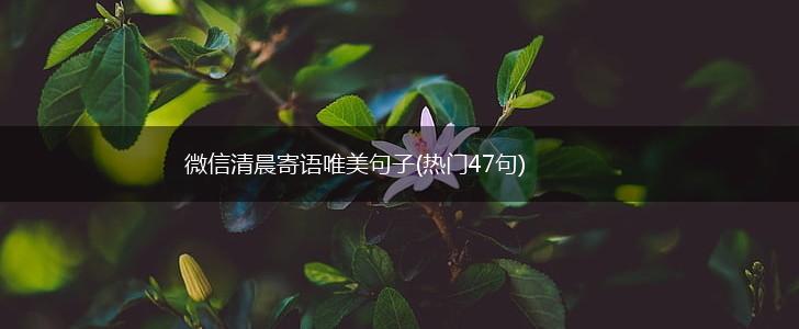 微信清晨寄语唯美句子(热门47句),第1张