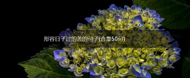 形容日子过的苦的句子(合集50句),第1张