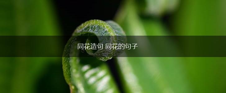 同花造句 同花的句子,第1张