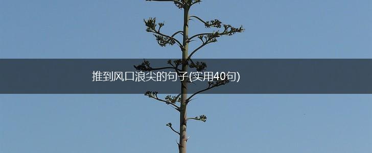推到风口浪尖的句子(实用40句),第1张