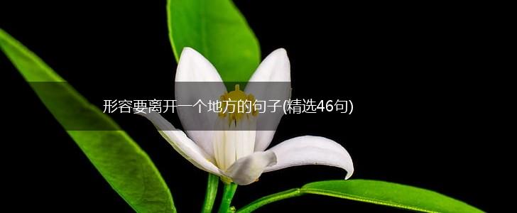 形容要离开一个地方的句子(精选46句),第1张