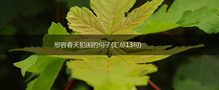 形容春天犯困的句子(汇总13句),第1张