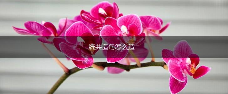 统共造句怎么造,第1张