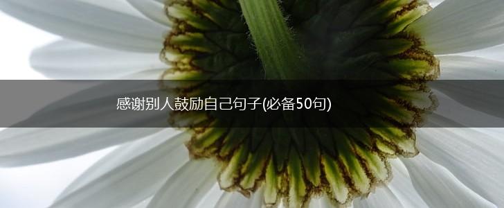 感谢别人鼓励自己句子(必备50句),第1张