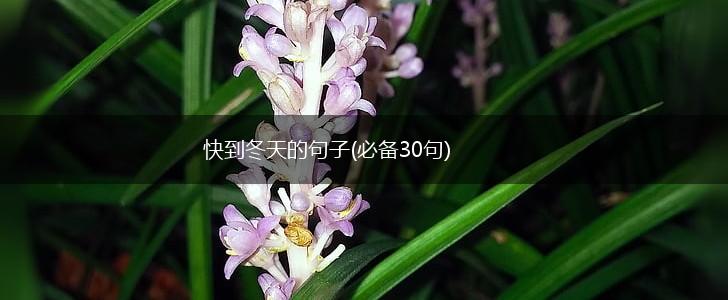 快到冬天的句子(必备30句),第1张