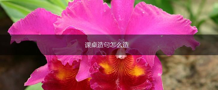 课桌造句怎么造,第1张