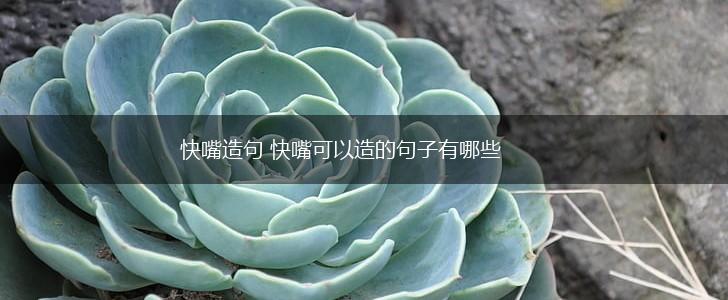 快嘴造句 快嘴可以造的句子有哪些,第1张