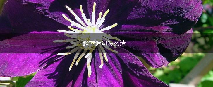瞻望造句怎么造,第1张