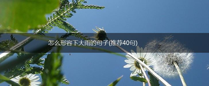 怎么形容下大雨的句子(推荐40句),第1张