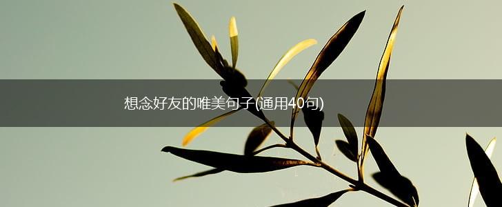 想念好友的唯美句子(通用40句),第1张
