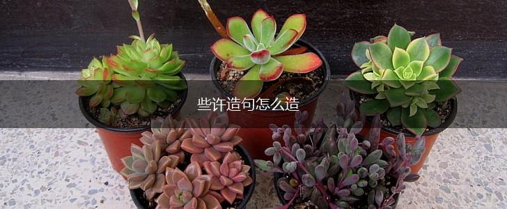 些许造句怎么造,第1张