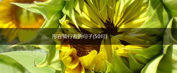形容骑行者的句子(50句),第1张