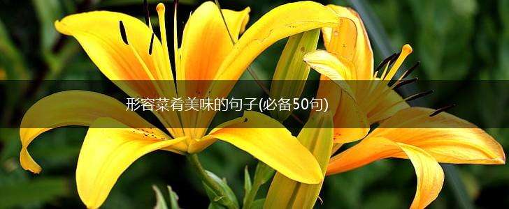 形容菜肴美味的句子(必备50句),第1张