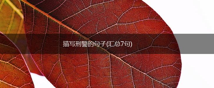 描写刑警的句子(汇总7句),第1张