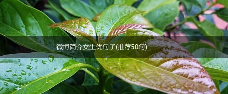 微博简介女生优句子(推荐50句),第1张