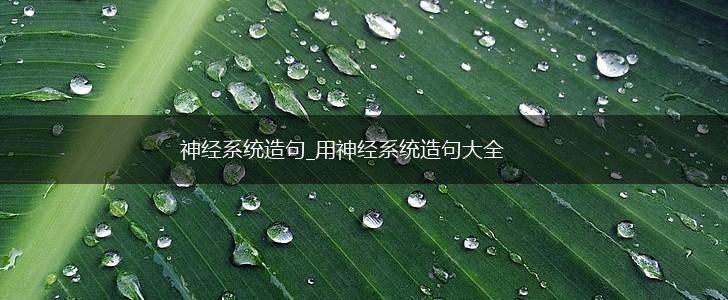 神经系统造句_用神经系统造句大全,第1张